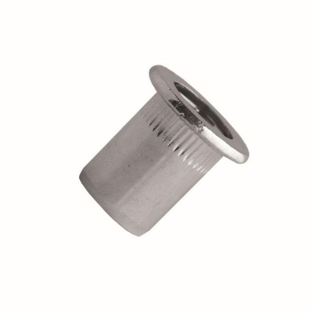 Picture of Riv Nut S/S A2 Flange Head - M10