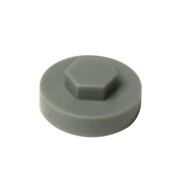 Picture of Colour Caps 19mm - Metalic Silver Aluminium