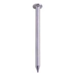 Picture of Masonry Nail Griptorq - 3.0x50mm