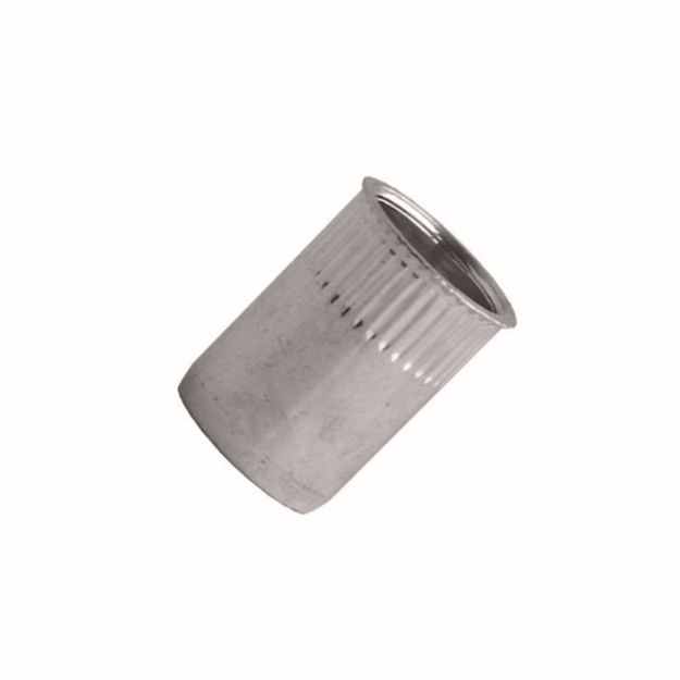 Picture of Riv Nut Steel Reduced Head BZP - M10